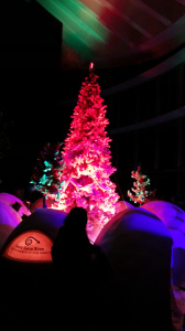 20141214_191511_mini